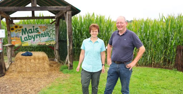 Ein Irrgarten aus Getreide: ein Maislabyrinth in Northen